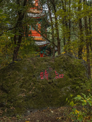 "浪漫秋色◇香山公园情侣拍照圣地大揭秘！_香山公园"的评论图片