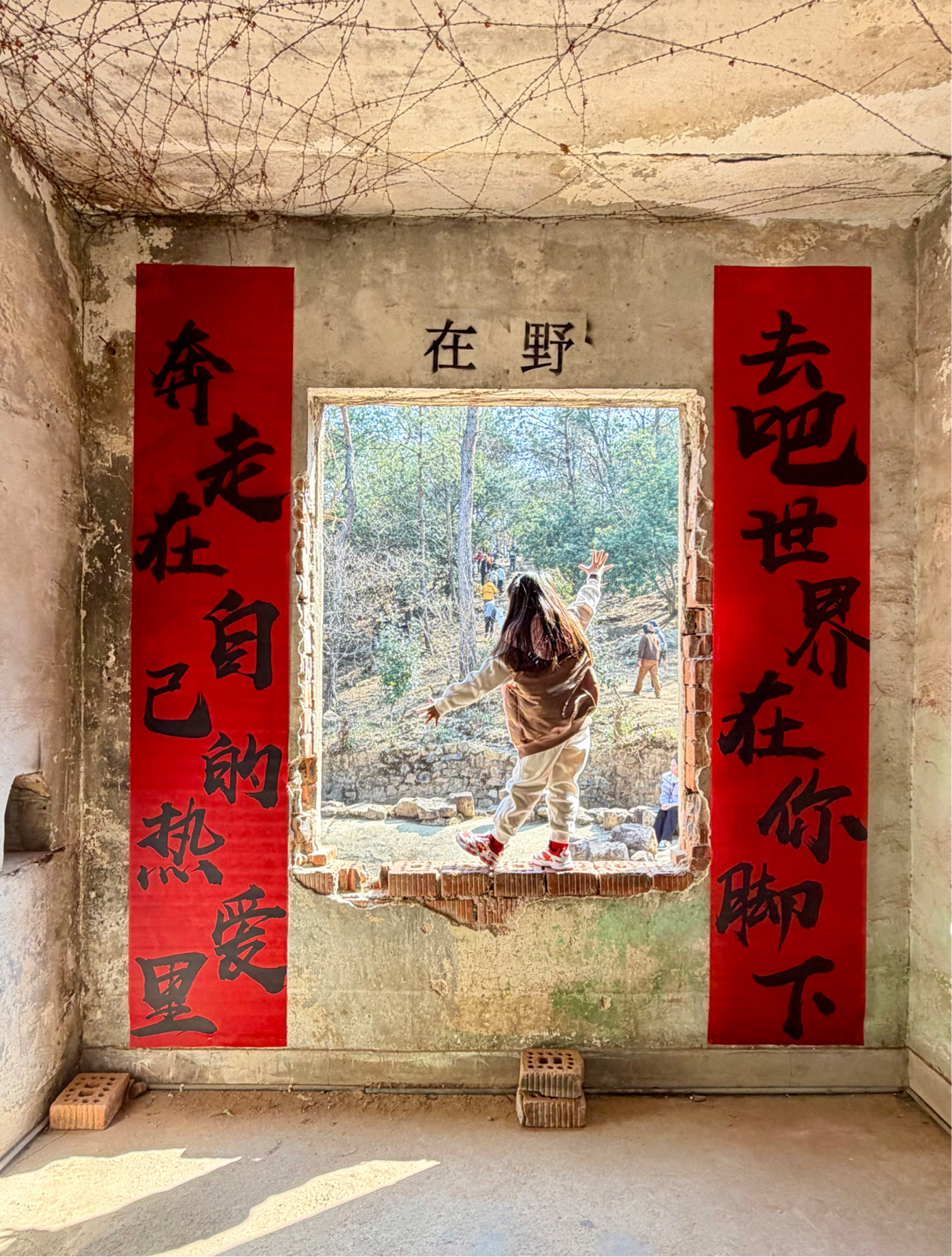 常熟虞山国家森林公园实拍图5