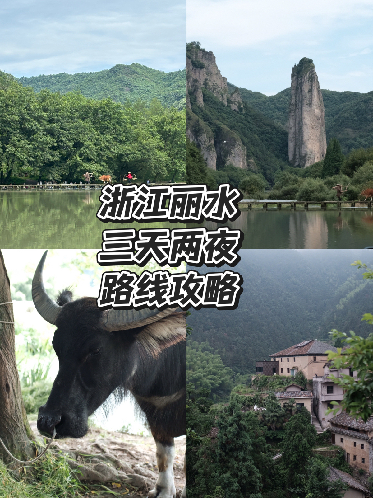 丽水杨家堂村实拍图