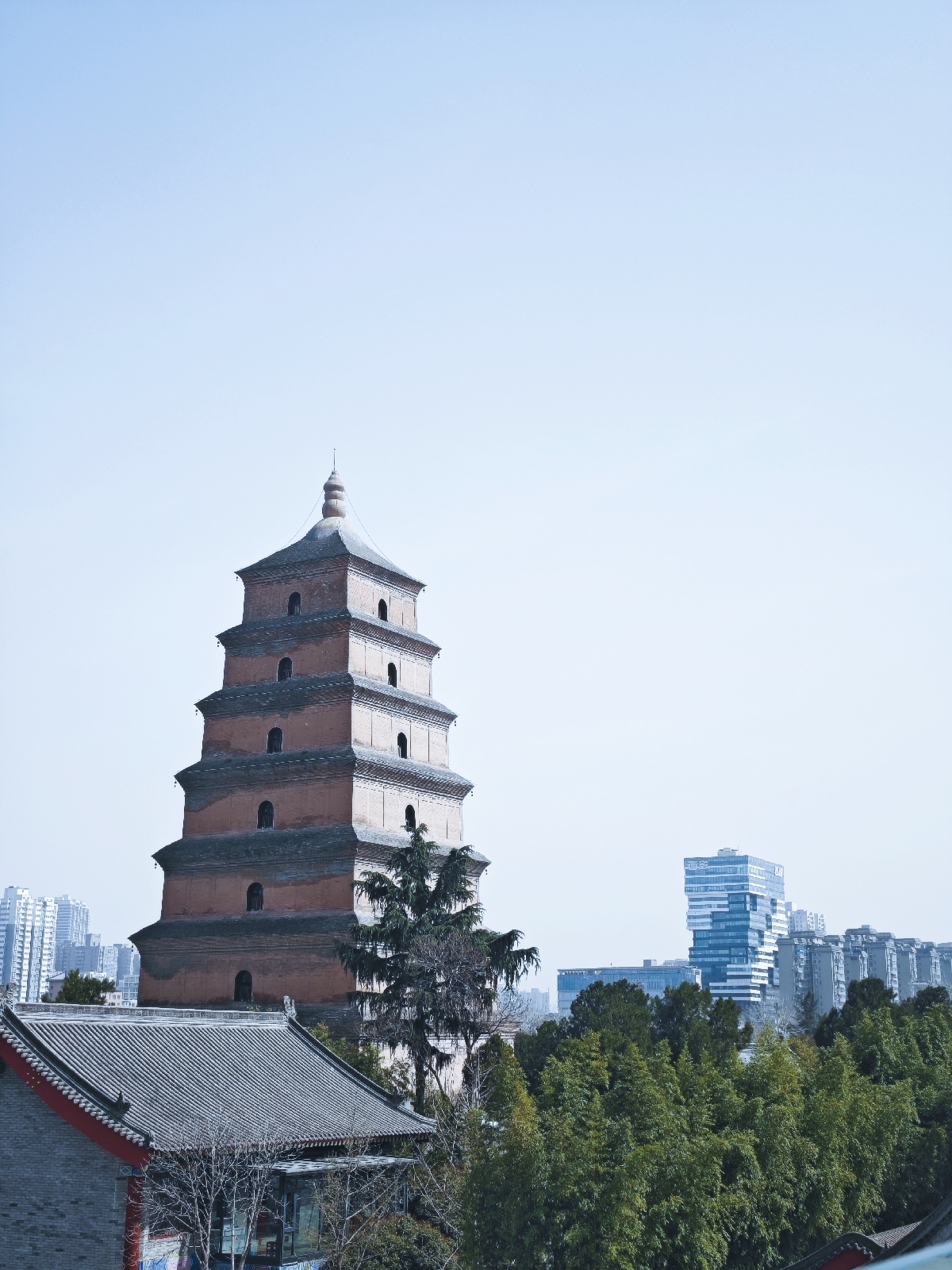 西安大慈恩寺-塔林实拍图