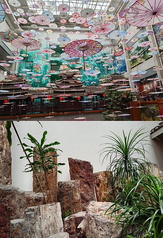 "值得二刷的宝藏旅行地，探秘“龙城”_柳州博物馆"的评论图片