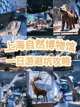 上海自然博物馆旅游景点攻略图