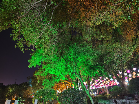桂林市榕杉湖景区旅游景点攻略图