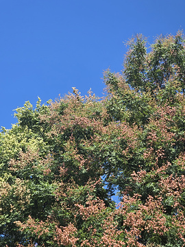 水亭门旅游景点攻略图