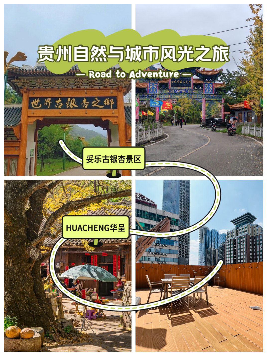 贵阳妥乐古银杏景区实拍图