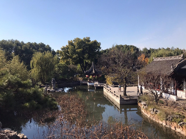 "上海古猗园：探寻古典园林的宁静与和谐_古猗园"的评论图片