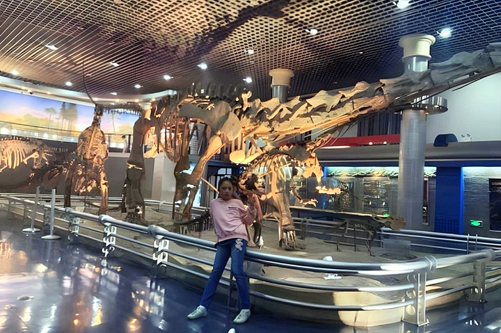 "北京自然博物馆全攻略：发现自然界的奇妙和未知_国家自然博物馆"的评论图片