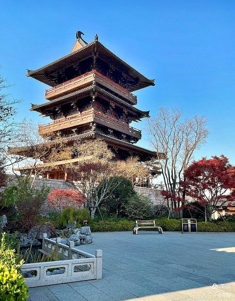 南京紫金山植物园实拍图