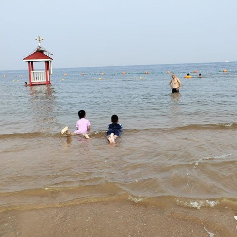 "天津东疆湾景区_东疆湾沙滩景区"的评论图片