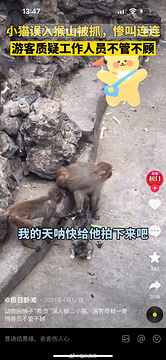 昆明动物园旅游景点攻略图