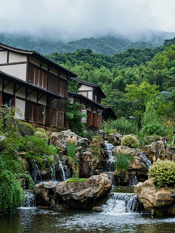 "葛仙村的烟雨朦胧，美得令人窒息_葛仙村度假区"的评论图片