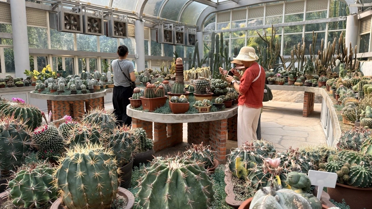 厦门园林植物园-花卉园实拍图