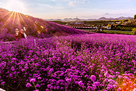 去有风的地方一一贵州避暑自驾游
