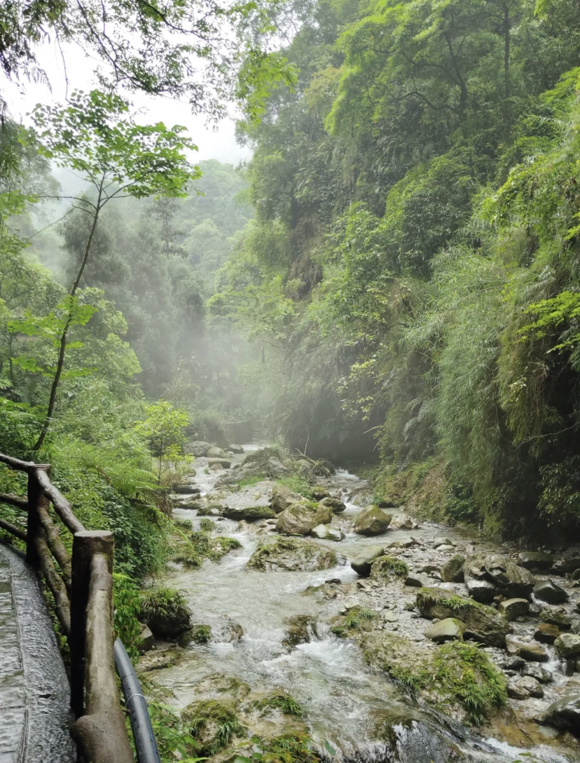 峨眉山清音阁寺庙实拍图