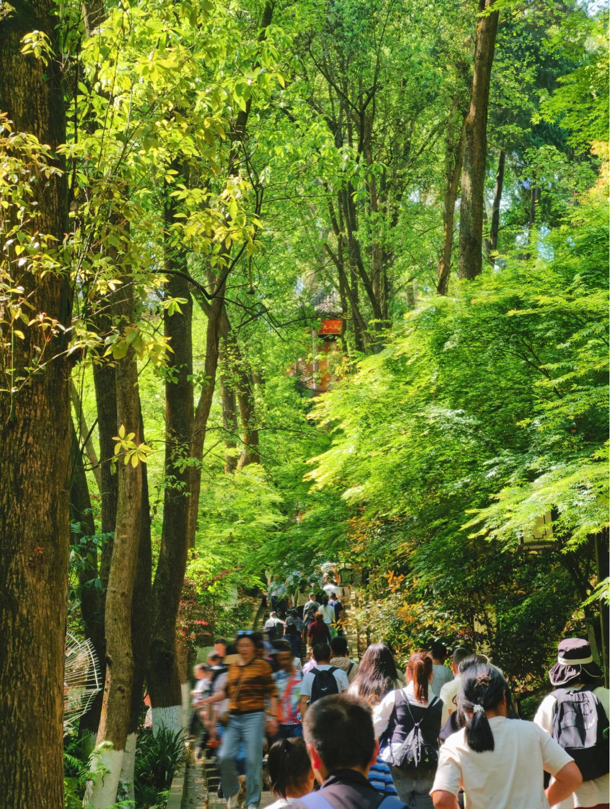 邛崃白鹤山风景名胜区实拍图
