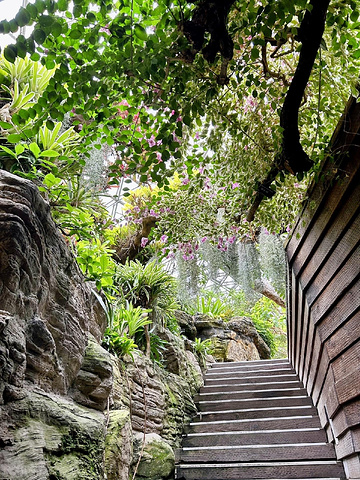 "亲子游必去！上海辰山植物园开启童话探险之旅。_上海辰山植物园"的评论图片
