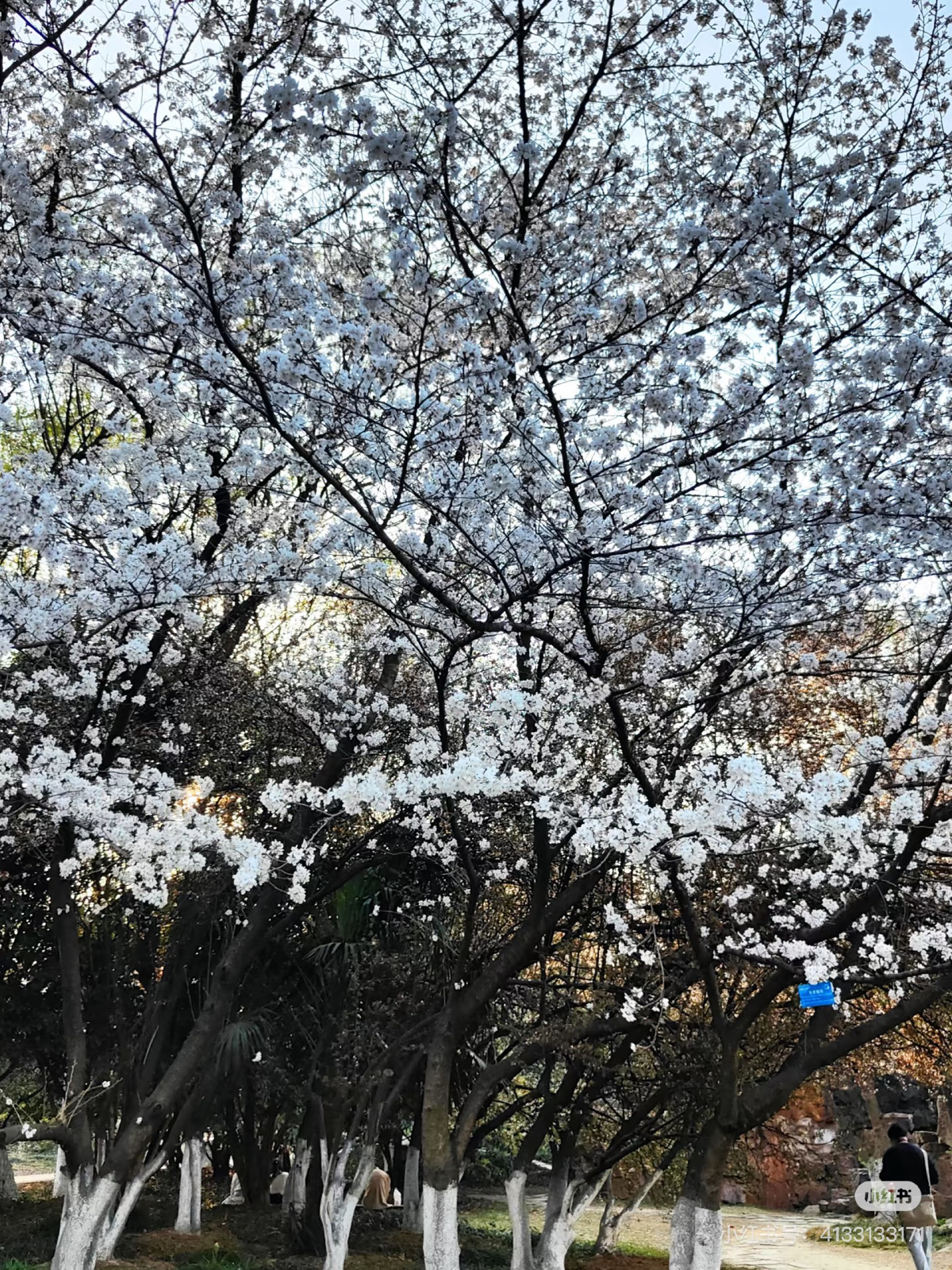 合肥植物园旅游景点攻略图