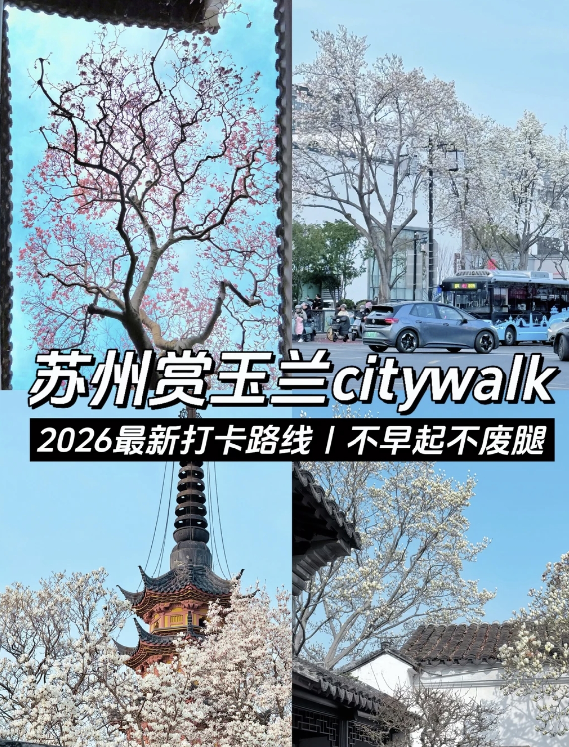 苏州十全街实拍图
