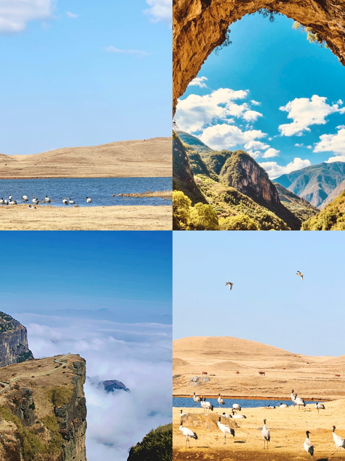昭通大山包景区实拍图