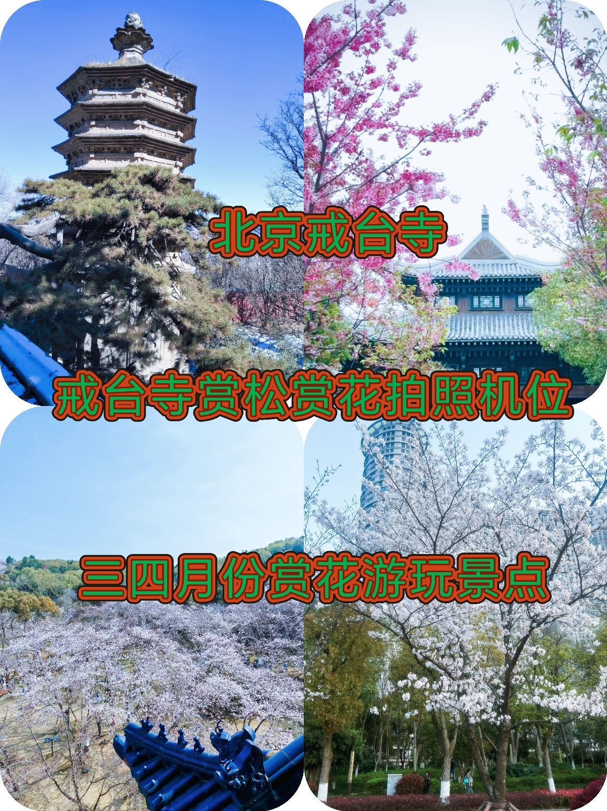 北京戒台寺实拍图