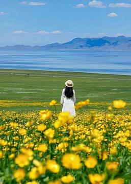 赛里木湖旅游景点攻略图