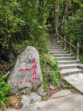 金猴岭旅游景点攻略图