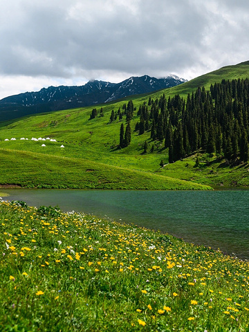 "要我说，唐布拉仙女湖才是伊犁第一❗️附攻略_唐布拉风景区"的评论图片