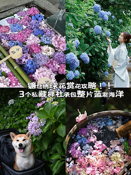 明月院旅游景点攻略图