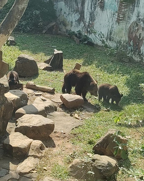 广州动物园旅游景点攻略图