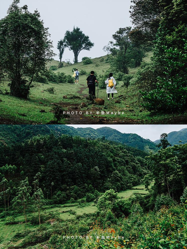 罗定八排山实拍图3