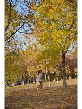 奥林匹克森林公园-北园旅游景点攻略图