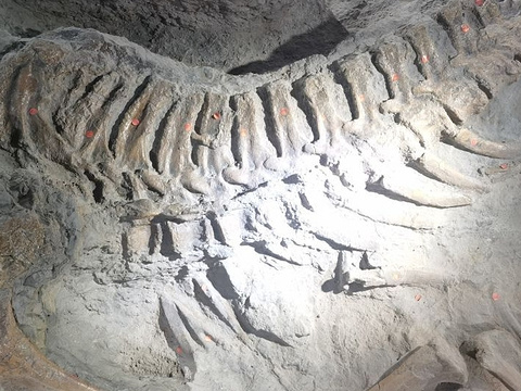 灵武恐龙化石遗址旅游景点攻略图