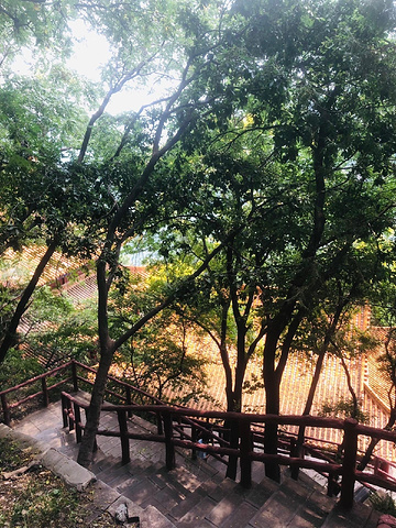 "天桂山徒步记：穿越北冶乡的壮美山川_天桂山风景区"的评论图片