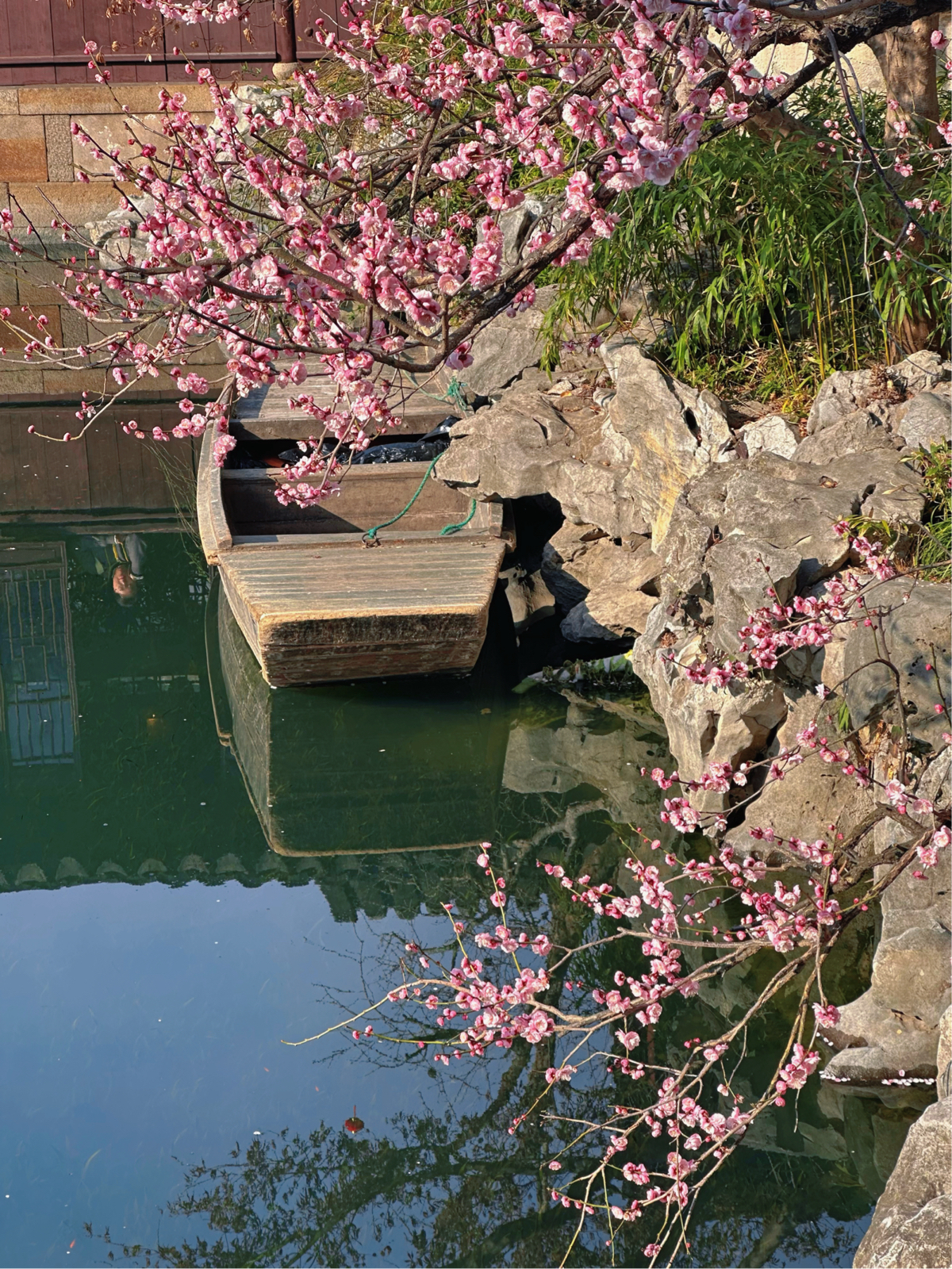 苏州艺圃实拍图1