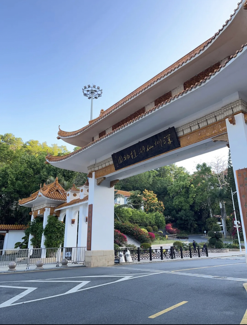 深圳仙湖植物园实拍图