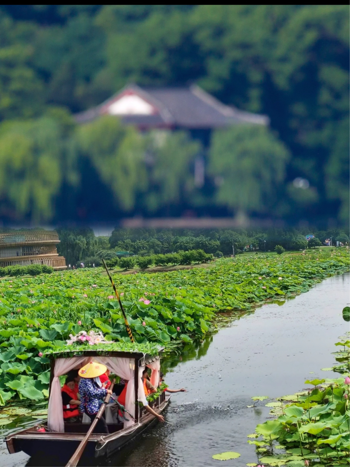 曲院风荷旅游景点攻略图