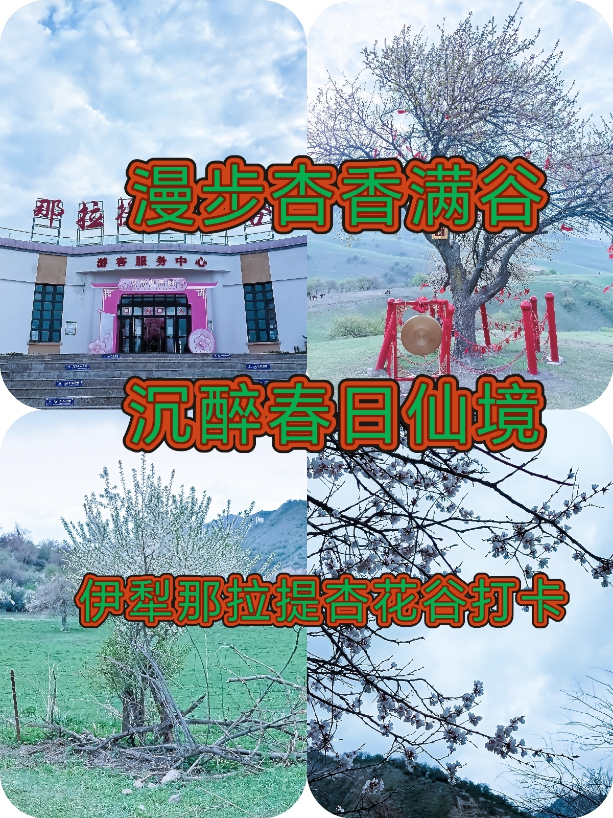 新源伊犁实拍图