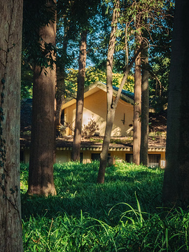 太子湾公园旅游景点攻略图