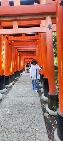 "在日本文化中，狐狸是一种非常重要的动物，被广泛崇拜和膜拜。神社入口门前的小超市买的大福，好吃哦！大门_伏见稻荷大社"的评论图片