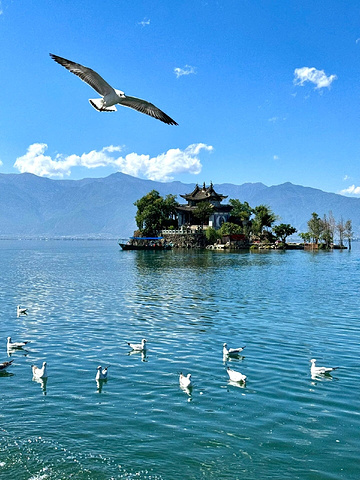 "人生建议：环洱海，一定要留一天给海东_洱海"的评论图片