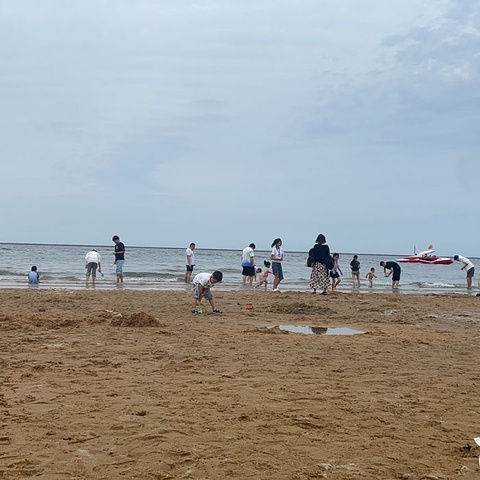 "天津东疆湾景区_东疆湾沙滩景区"的评论图片