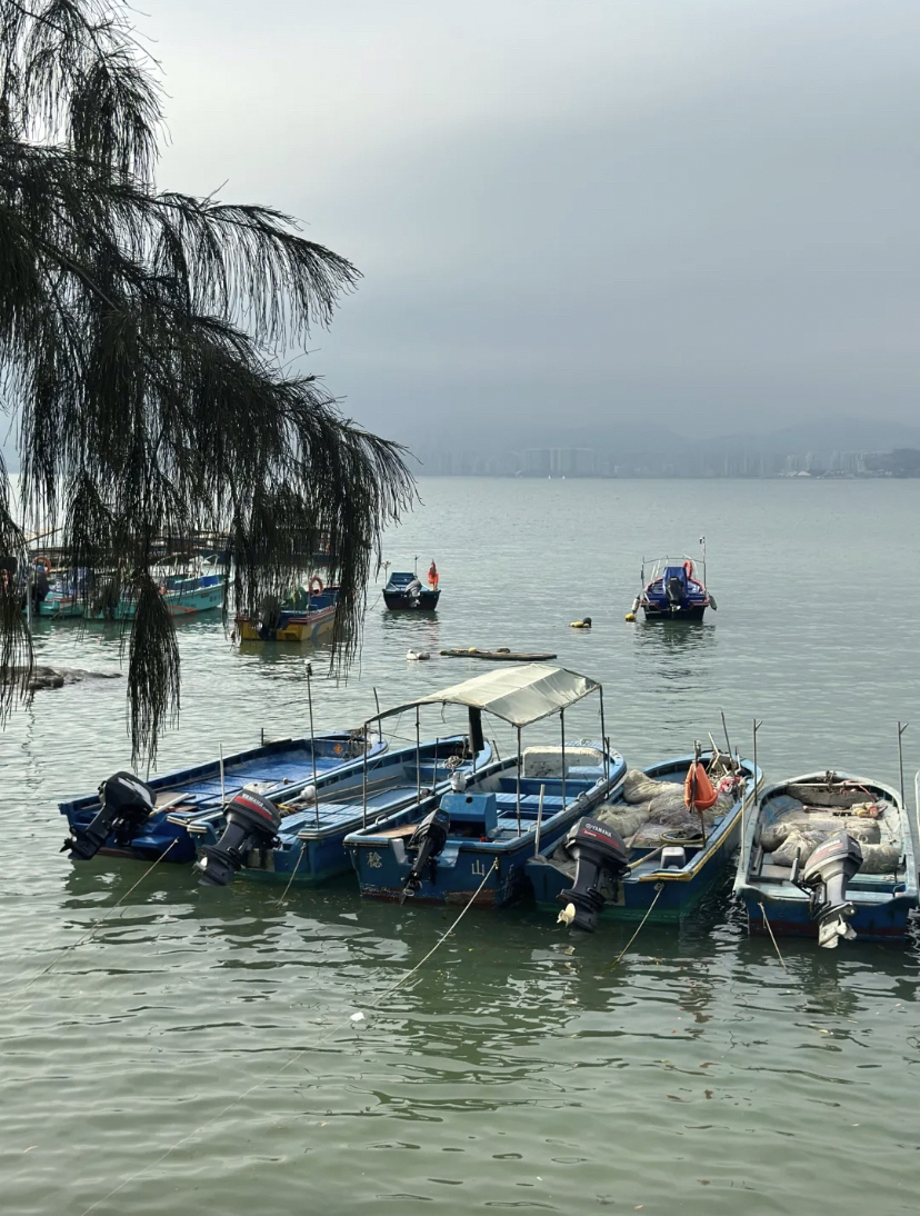 惠东巽寮湾实拍图
