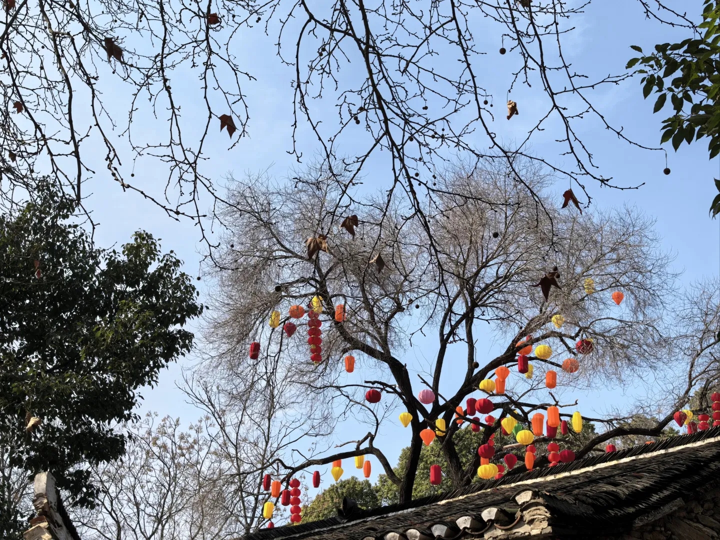 武汉大余湾实拍图