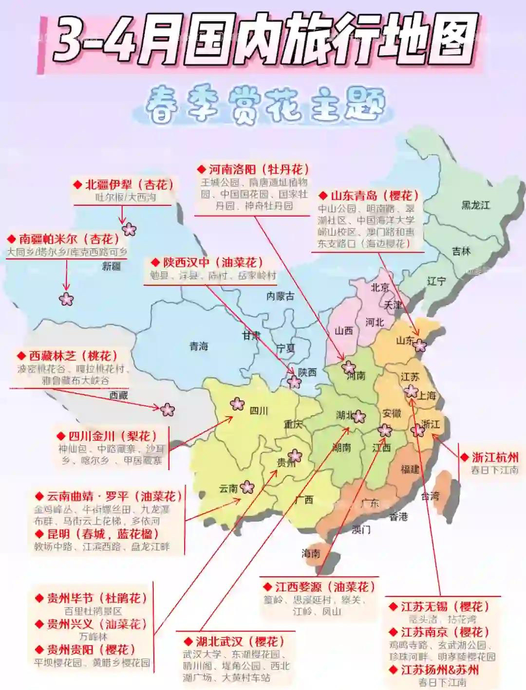 洛阳牡丹园实拍图