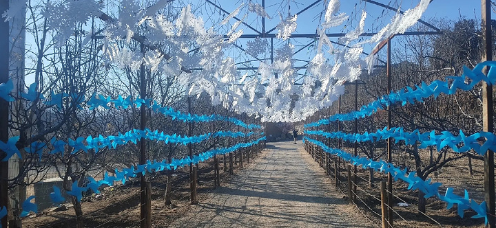 "北京谷山村：走进这个古朴的小村庄，感受那份宁静与美好！_谷山村"的评论图片