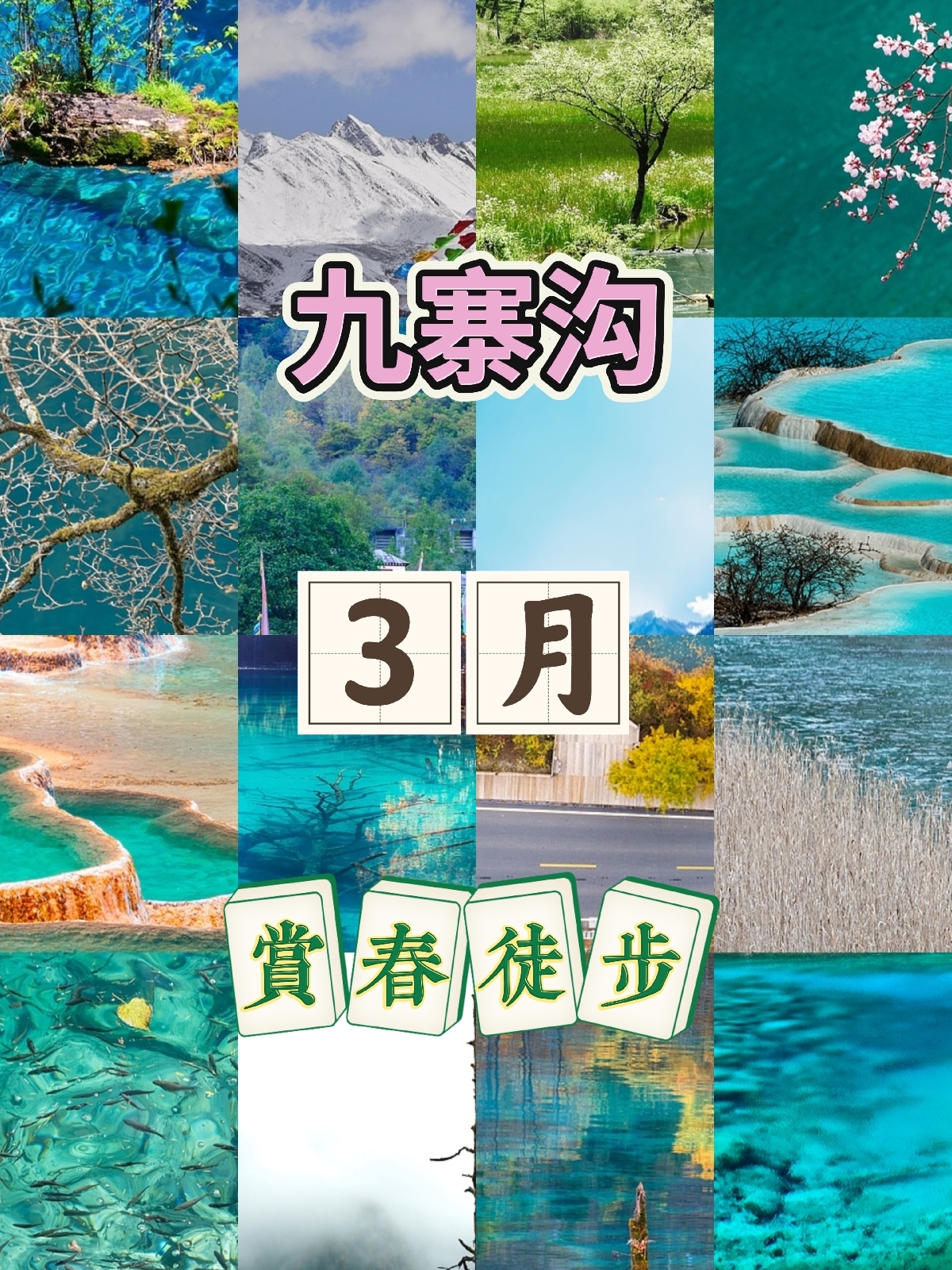 九寨沟实拍图