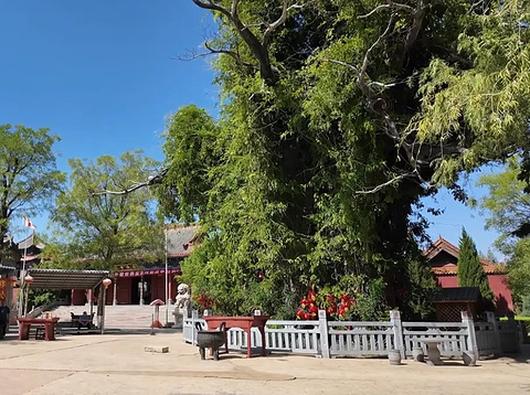 洪洞大槐树寻根祭祖园旅游景点攻略图