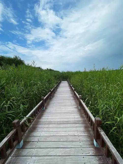 太原汾河景区实拍图