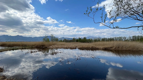 野鸭湖国家湿地公园旅游景点攻略图