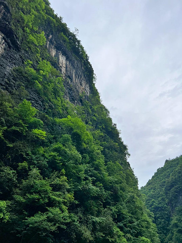 "贵州铜仁大峡谷：地质奇观与生态宝库的完美结合_铜仁大峡谷"的评论图片
